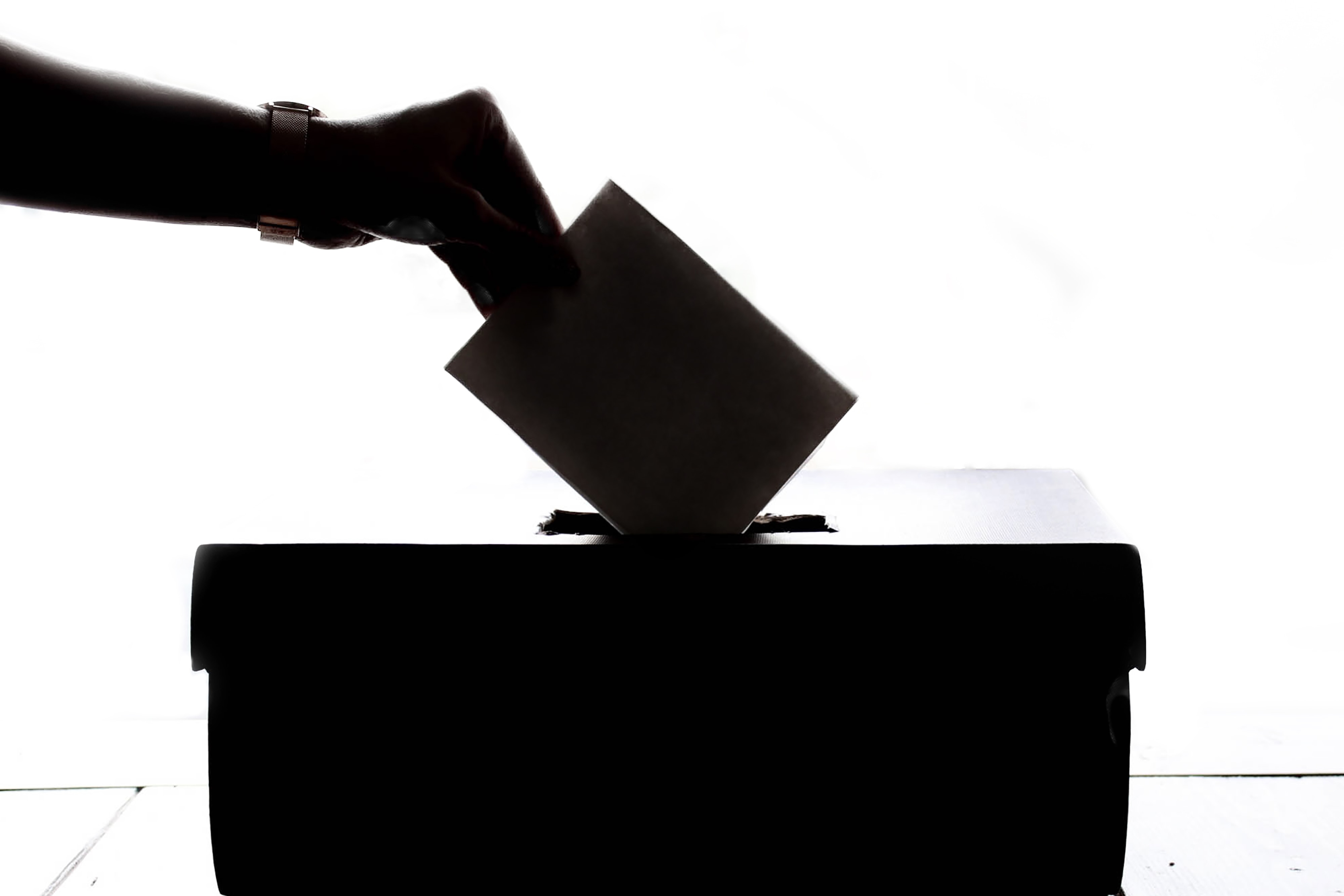 Williamson County progressives fight to restore voting rights to felons