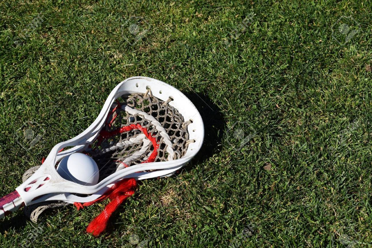 Brentwood, Ravenwood, Page girls lacrosse teams see members earn U.S. Lacrosse honors