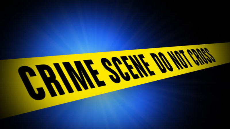 CRIME REPORT: Thefts from businesses and vehicles continue in Brentwood