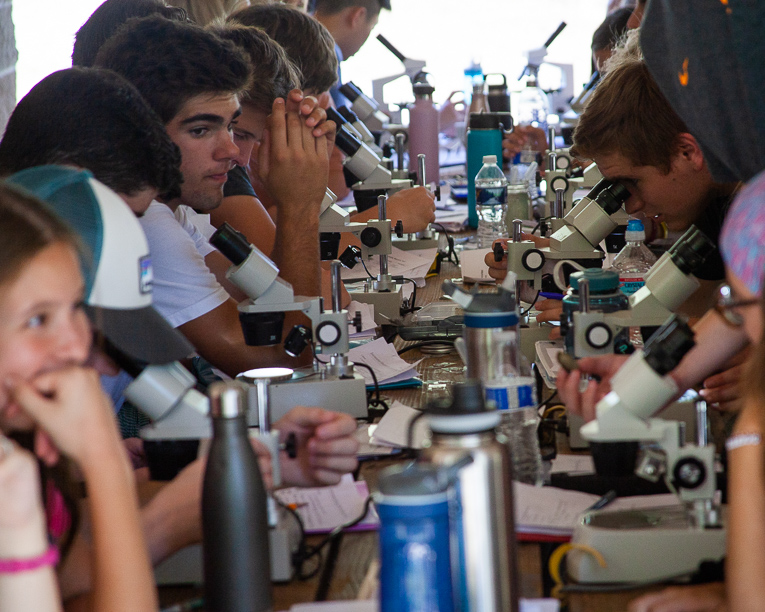 Brentwood and Ravenwood students learn about ecosystems, conservation at Environmental Education Day