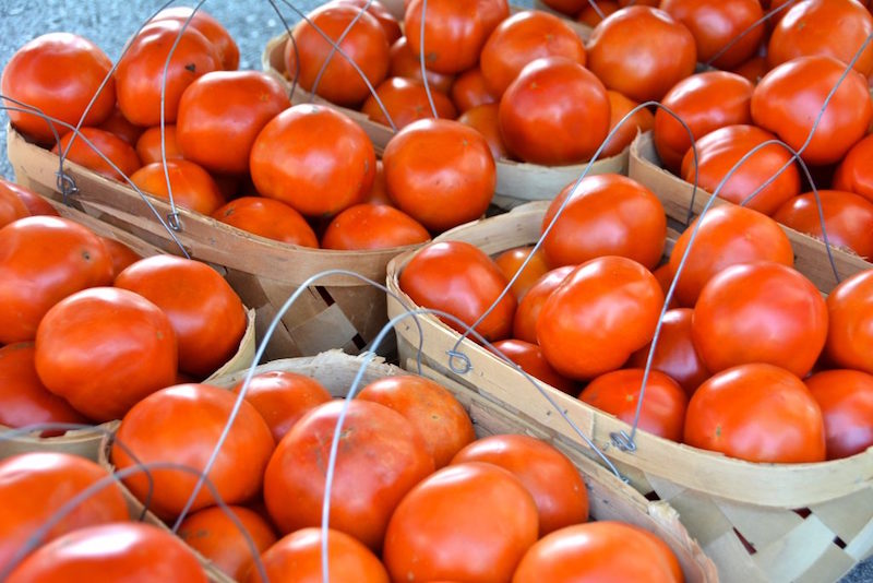 Franklin Tomato Festival will honor the humble vegetable — or is it a fruit?