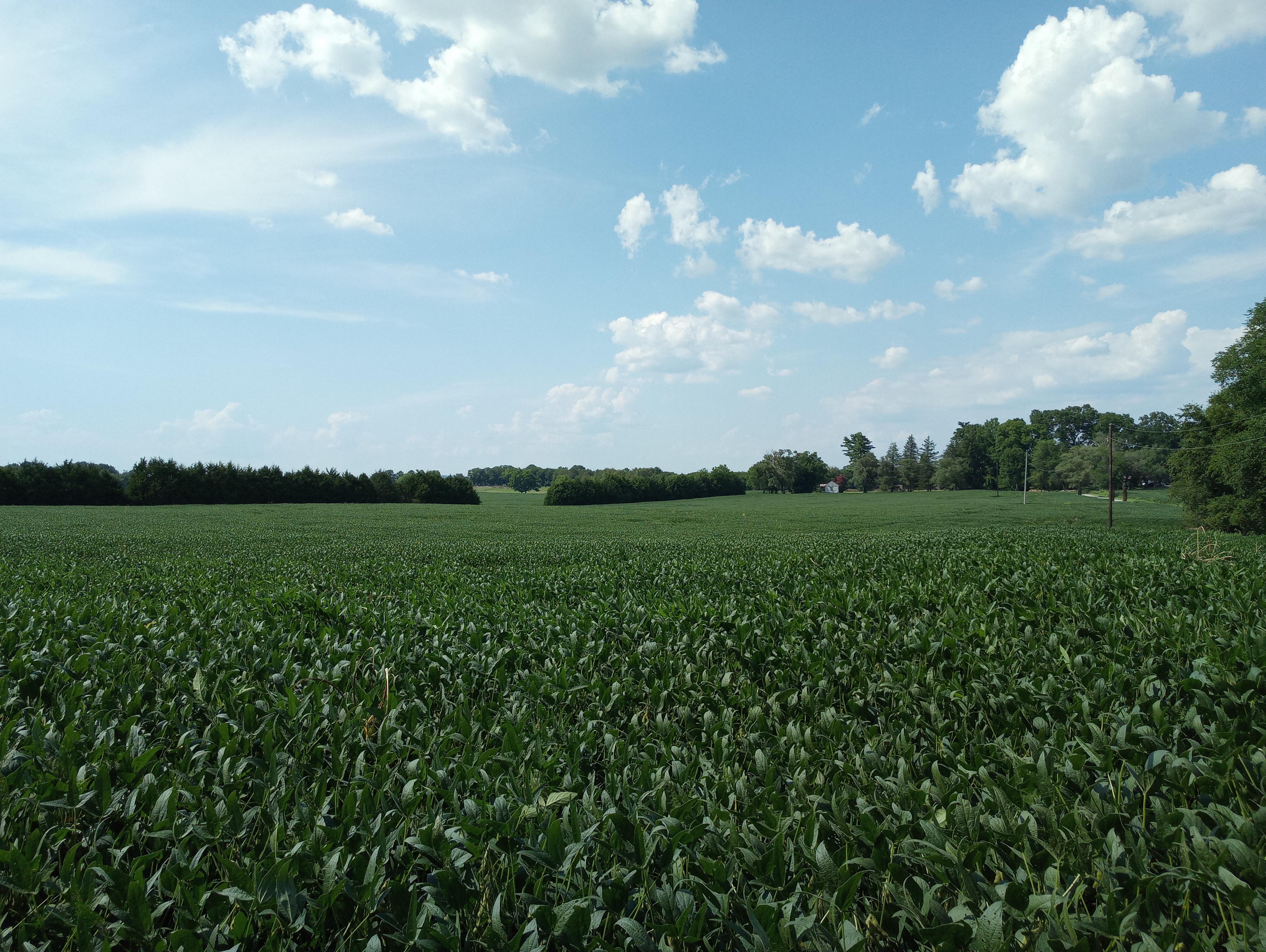 What will happen to the agricultural land in the path of the Mack Hatcher extension?