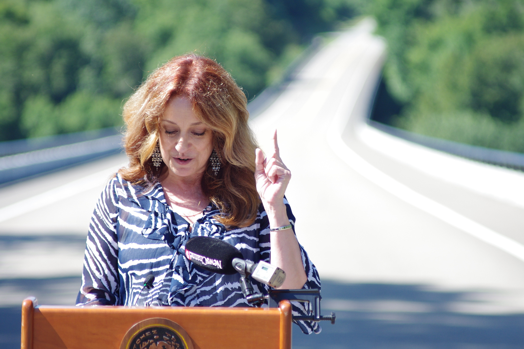 Emergency call boxes on Natchez Trace Bridge ready for use after emotional unveiling